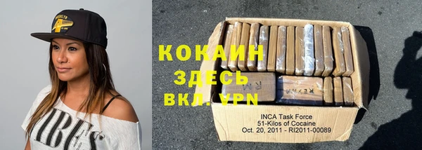 прущий лед Пересвет