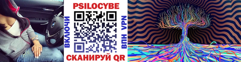 Псилоцибиновые грибы ЛСД  мега ССЫЛКА  Тимашёвск 